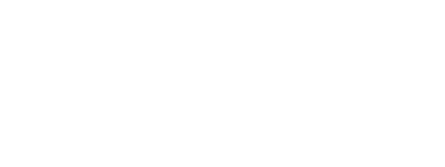 V1C3 